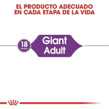 Royal Canin Giant Adult – Perros Gigantes de +45 kg
