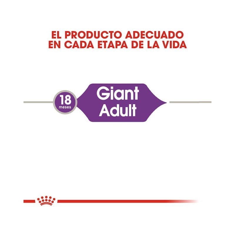 Royal Canin Giant Adult – Perros Gigantes de +45 kg