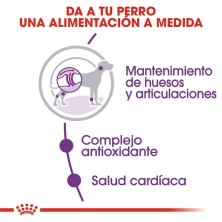 Royal Canin Giant Adult – Perros Gigantes de +45 kg