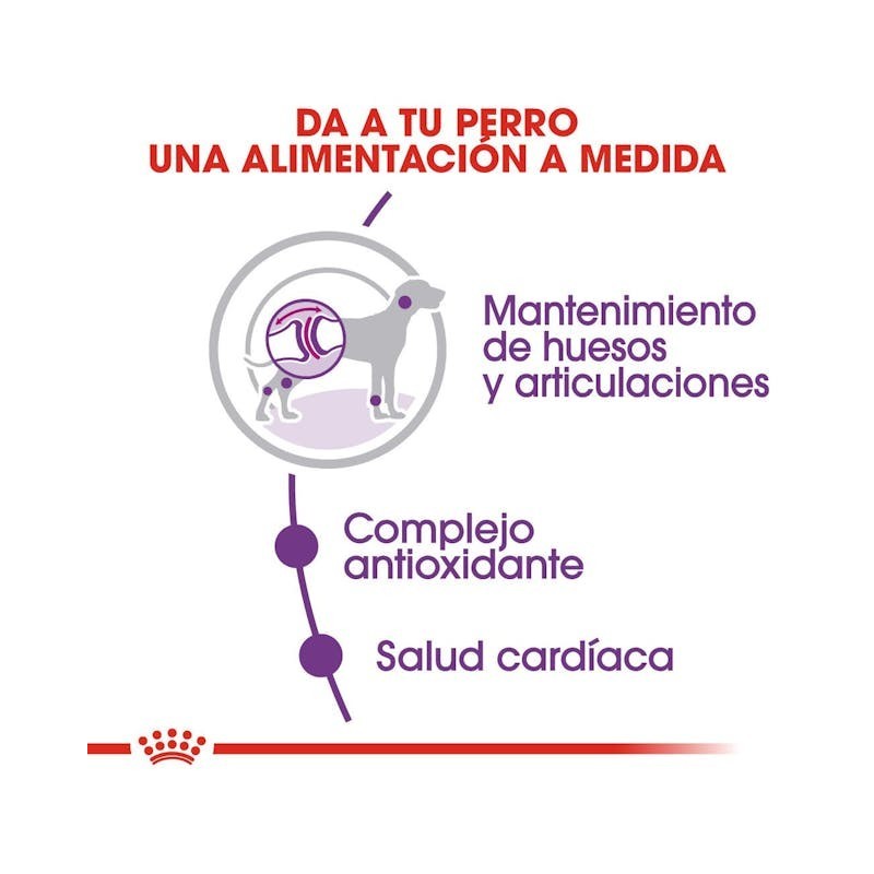Royal Canin Giant Adult – Perros Gigantes de +45 kg