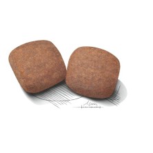 Royal Canin Giant Adult – Perros Gigantes de +45 kg