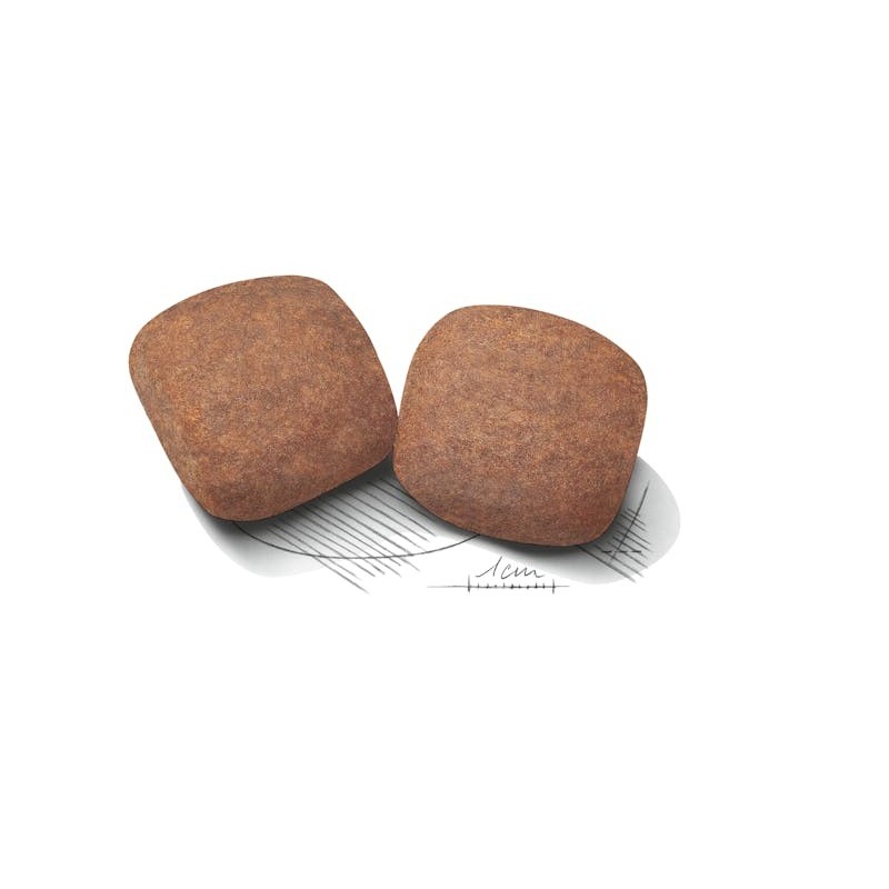 Royal Canin Giant Adult – Perros Gigantes de +45 kg
