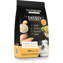 Bonmascota Energy Perros Alta Energía | Envío Sevilla