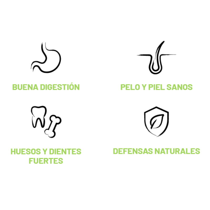 Bonmascota Daily Mantenimiento Perros Todas Razas 20kg | Sevilla