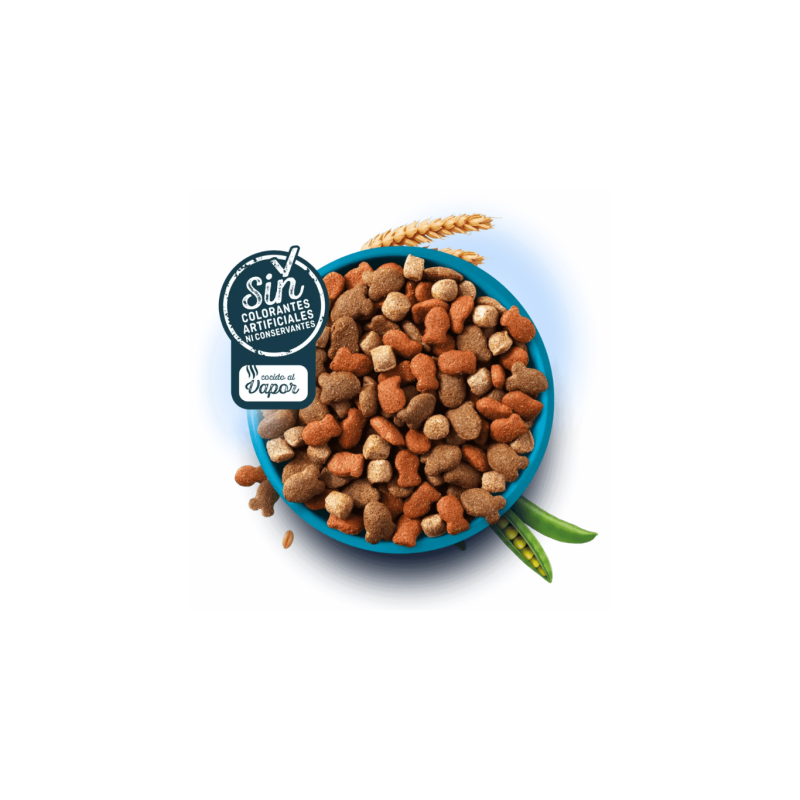 Pienso Brekkies Excel Perro Salmón | Piel y Pelaje
