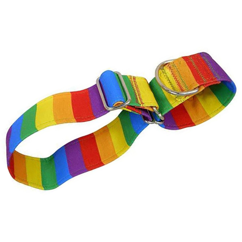 Collar Martingale Rainbow: Control Seguro, Sin Ahogar y Colorid