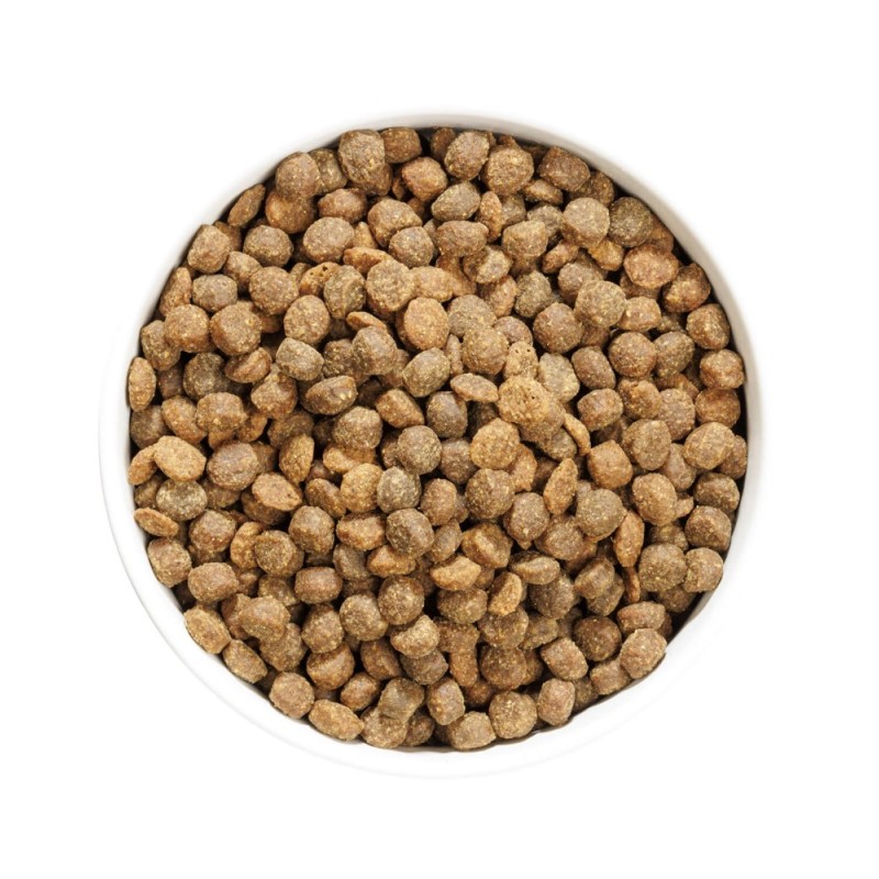 Ownat Author GF Junior Pollo Fresco – Pienso Sin Cereales para Cachorros 3kg y 10kg | supienso.com