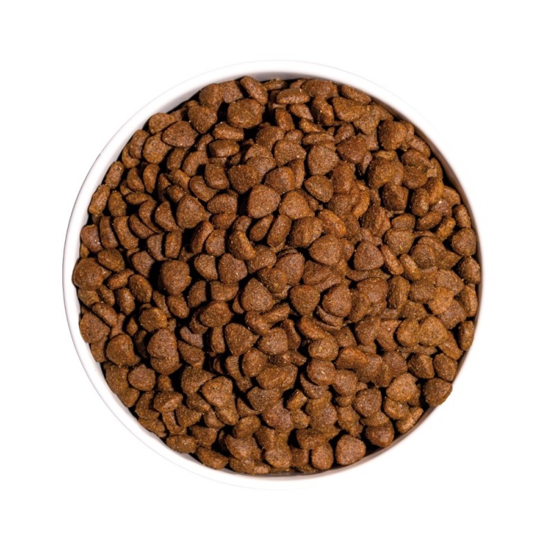 Ownat Classic Kitten 1.5kg y 4kg | Pienso para Gatitos y Madres
