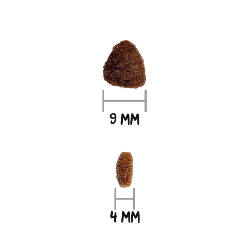 Ownat Classic Kitten 1.5kg y 4kg | Pienso para Gatitos y Madres