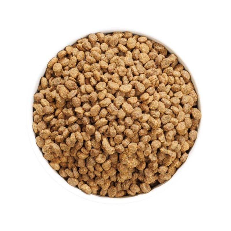 Ownat Cat Author Sterilized Fresh Chicken – Pienso Fresco para Gatos Esterilizados 1,5kg y 3kg | supienso.com