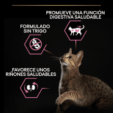 PURINA PRO PLAN Delicate Digestion Pavo (Digestión Delicada) – Nutrición Especial para Perros con Digestión Sensible