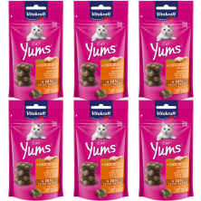Vitakraft Cat Yums Pollo con Hierba Gatera 40g – Deliciosos snacks para gatos con pollo y hierba gatera