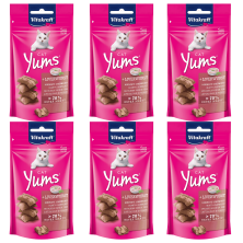Vitakraft Cat Yums Paté 40g – Deliciosos snacks en paté para gatos
