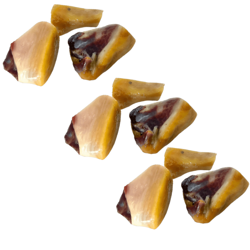 Mediterranean Natural Jamoncito Razas Pequeñas 90 gr | Pack 3 Uds