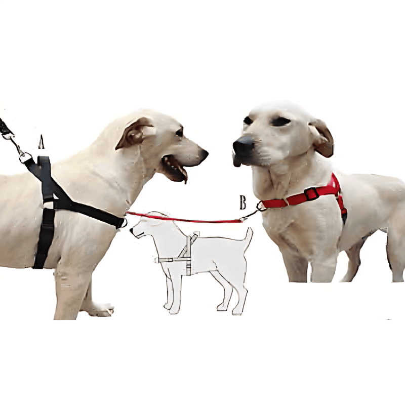 Arnés Antitirones para Perro – Comodidad y Control en Paseos