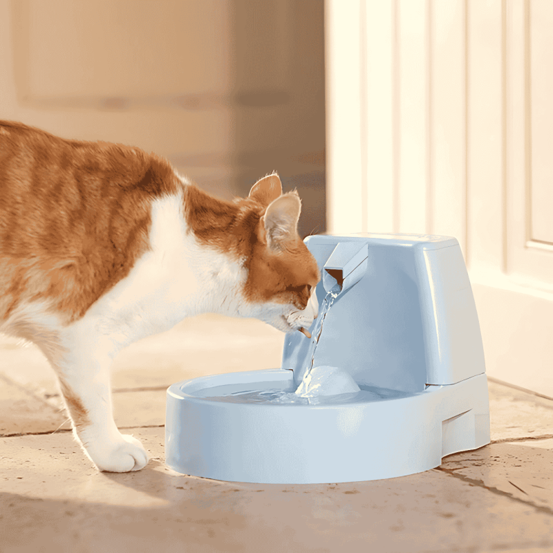 Fuente Drinkwell 1.5L | Bebedero Automático para Perros y Gatos