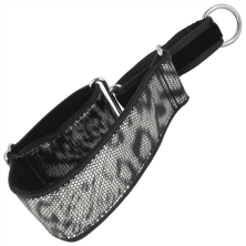Collar Martingale Plata Serpiente – Collar Antiescape para Perros con Diseño Sofisticado