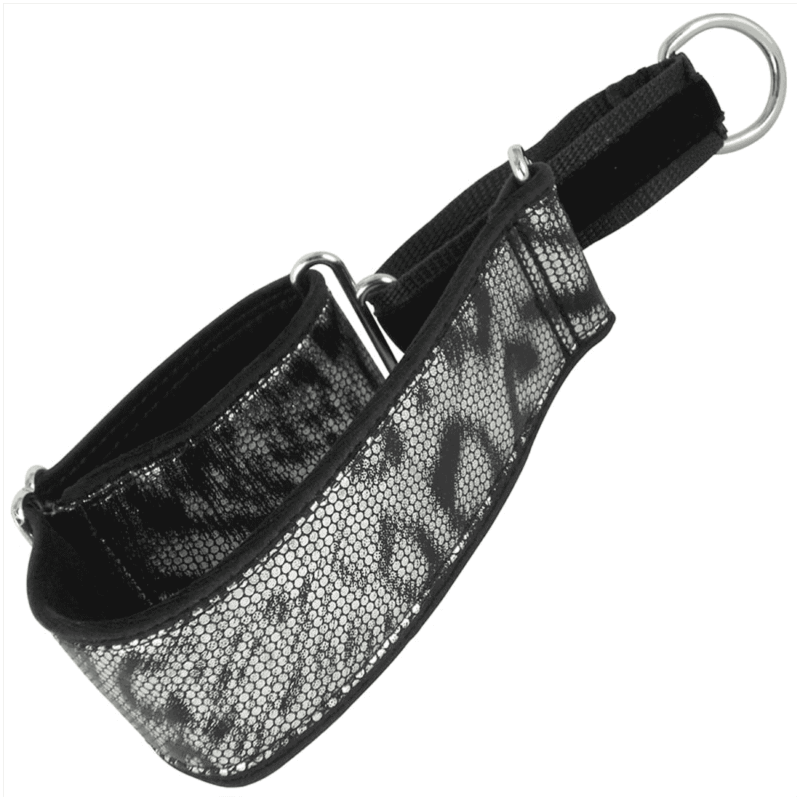 Collar Martingale Plata Serpiente – Collar Antiescape para Perros con Diseño Sofisticado