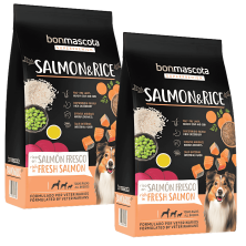 Promo Bonmascota Salmón Perros Adultos 2x20kg | Envío Sevilla