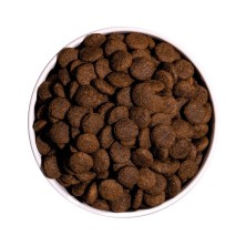 Ownat Classic Pato – Pienso Natural con Pato para Perros Adultos 4kg y 12kg | supienso.com
