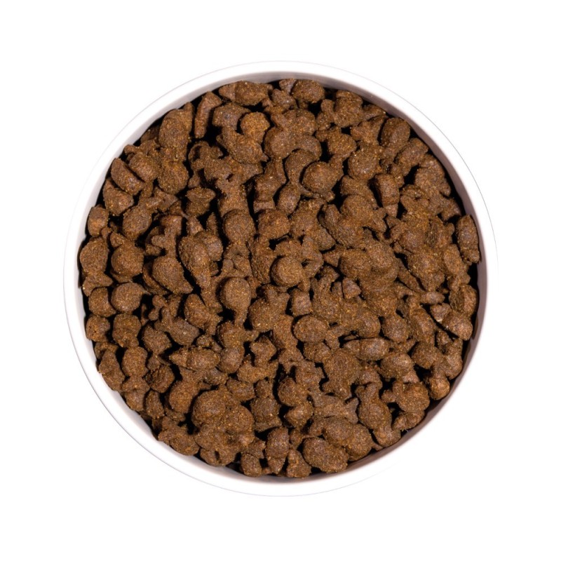 Ownat Grain Free Just Trout – Pienso Sin Cereales para Perros Adultos 3kg y 14kg | supienso.com