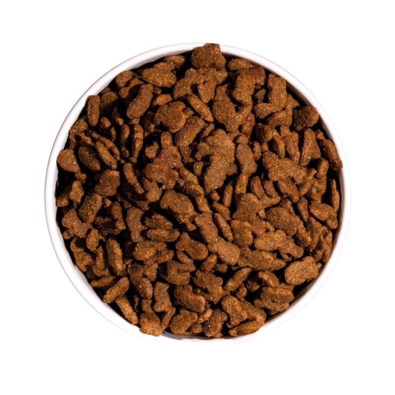 Ownat Classic Fish Gatos 1.5kg y 4kg | Pienso Premium con Pescado