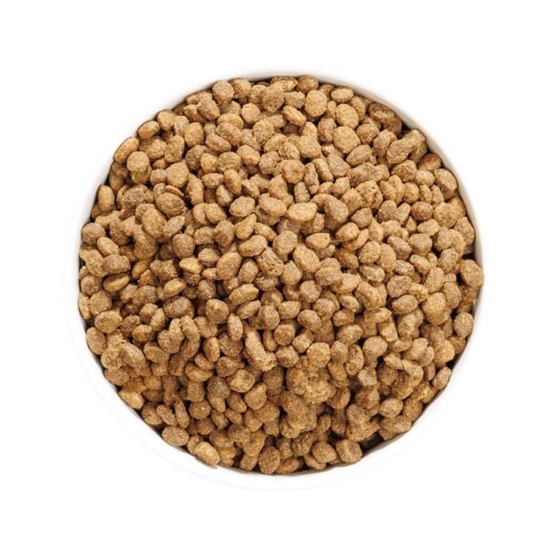 Ownat Cat Author Fresh Oily Fish & Poultry – Pienso Fresco para Gatos 1,5kg y 3kg | supienso.com