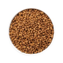 Ownat Ultra Kitten – Pienso Premium para Gatitos 1,5kg y 3kg | supienso.com