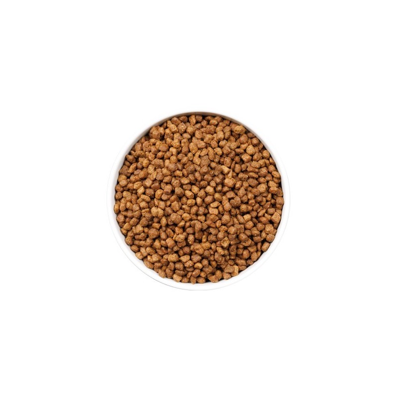 Ownat Ultra Kitten – Pienso Premium para Gatitos 1,5kg y 3kg | supienso.com