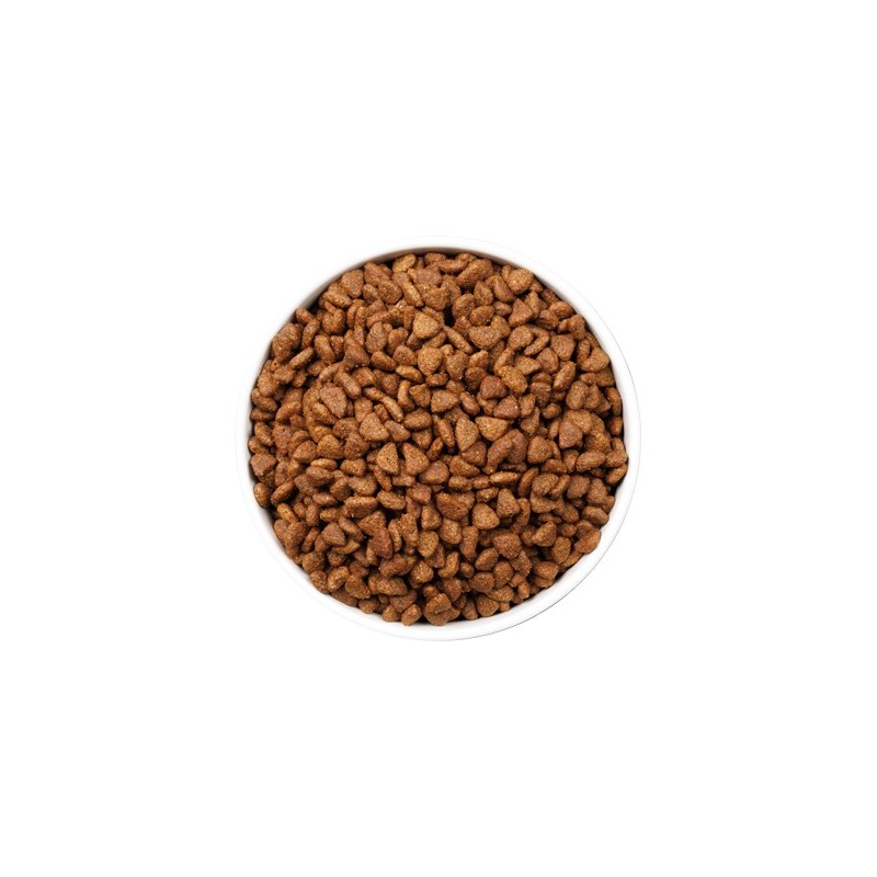 Ownat Ultra Kitten Sterilized – Pienso Premium para Gatitos Esterilizados 1,5kg y 3kg | supienso.com