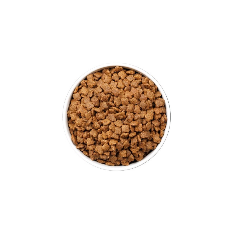 Ownat Ultra Young – Pienso Premium para Gatos Jóvenes 1,5kg y 3kg | supienso.com