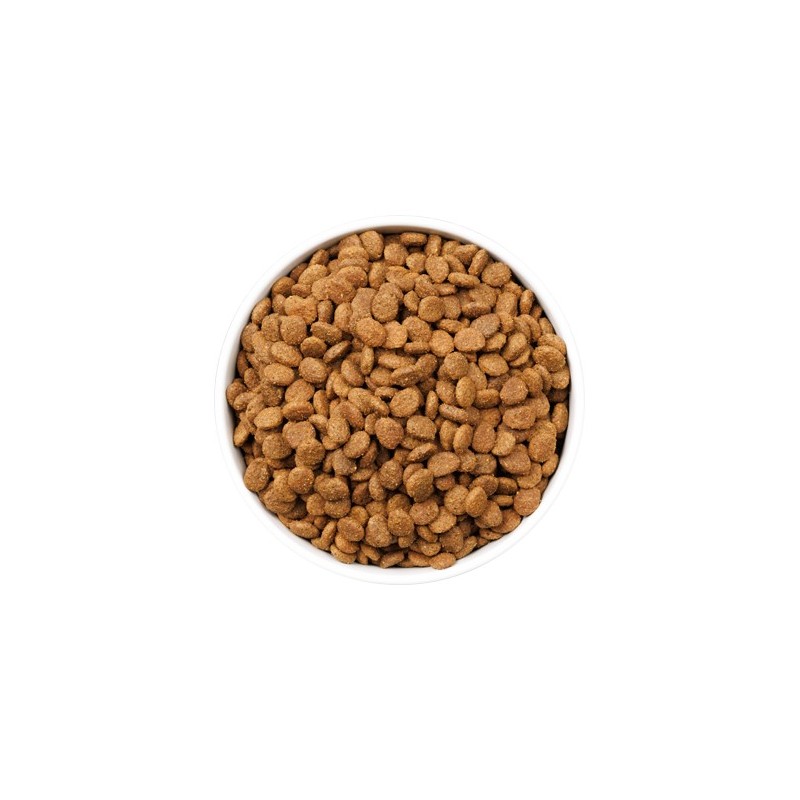 Ownat Ultra Young Sterilized – Pienso Premium para Gatos Jóvenes Esterilizados 1,5kg y 3kg | supienso.com