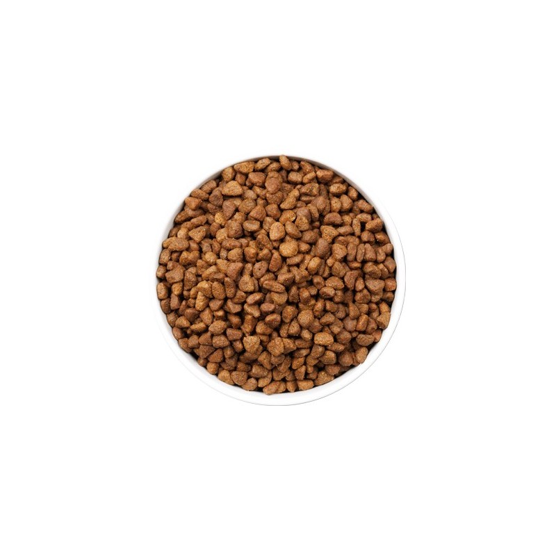 Ownat Ultra Ageing Fish – Pienso Premium con Pescado para Gatos Senior 1,5kg y 3kg | supienso.com