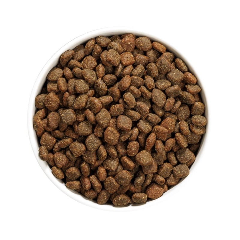 Ownat Author GF Pato y Pollo Fresco – Pienso Sin Cereales para Perros 3kg y 10kg | supienso.com