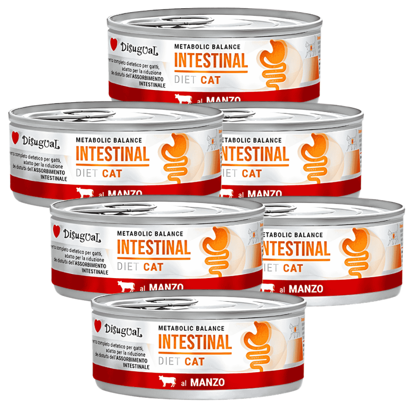 Comida Húmeda Gato Problemas Digestivos Disugual Diet Intestinal Buey 85g | Supienso