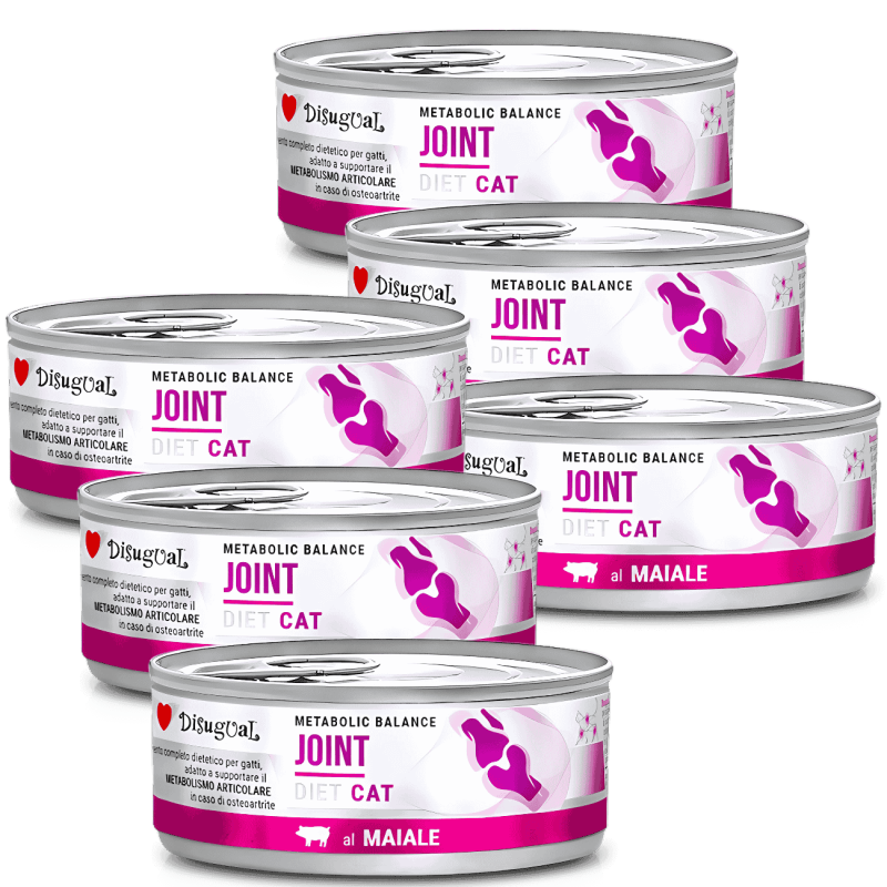 Comida Húmeda Gato Articulaciones Disugual Diet Cerdo 85g | Supienso