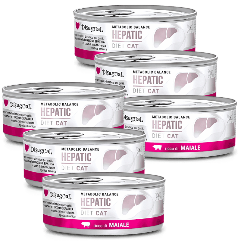 Comida Húmeda Gato Problemas Hepáticos Disugual Diet Hepatic Cerdo 85g | Supienso