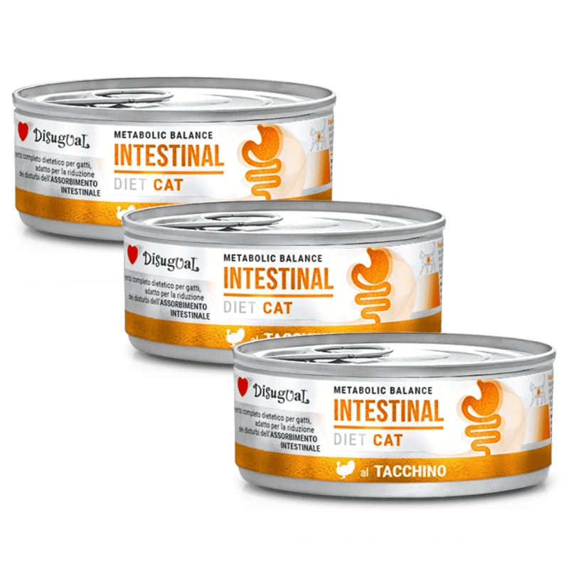 Metabolic Balance Gato Intestinal Pavo | Dieta Digestiva Veterinaria | Alivio de Trastornos Gastrointestinales