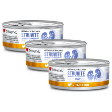 Disugual Diet Cat Intestinal Pavo 85 g | Comida Húmeda Digestiva Grain Free para Gatos con Sensibilidad Intestinal
