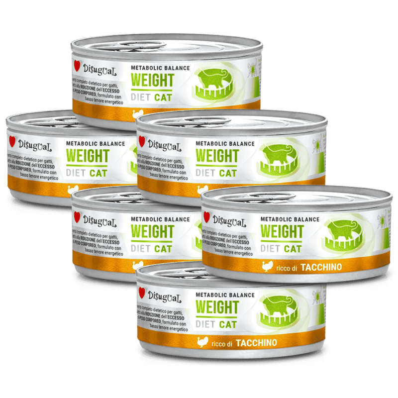 Disugual Diet Cat Intestinal Pavo 85 g | Comida Húmeda Digestiva Grain Free para Gatos con Sensibilidad Intestinal