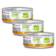 Disugual Diet Cat Intestinal Pavo 85 g | Comida Húmeda Digestiva Grain Free para Gatos con Sensibilidad Intestinal