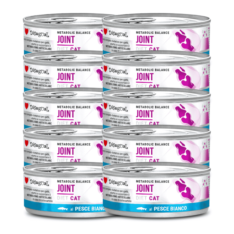 Disugual Diet Cat Húmedo Pescado Blanco Articulaciones 85gr – Comida para Gato con Salud Articular