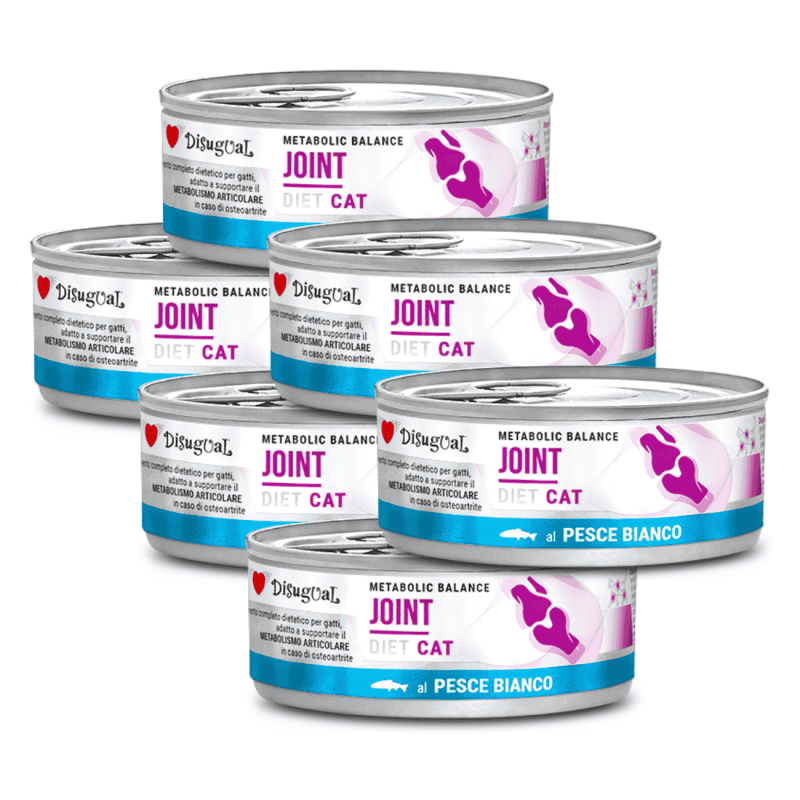 Disugual Diet Cat Húmedo Pescado Blanco Articulaciones 85gr – Comida para Gato con Salud Articular