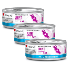 Disugual Diet Cat Húmedo Pescado Blanco Articulaciones 85gr – Comida para Gato con Salud Articular
