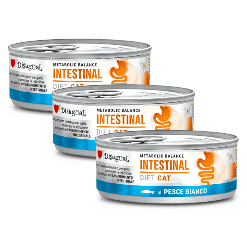 Disugual Diet Cat Húmedo Pescado Blanco Intestinal 85gr – Comida para Gatos con Sensibilidad Digestiva