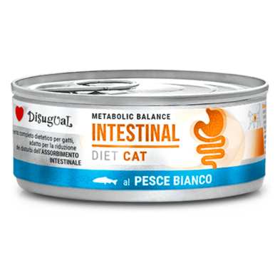 Disugual Diet Cat Húmedo Pescado Blanco Intestinal 85gr – Comida para Gatos con Sensibilidad Digestiva