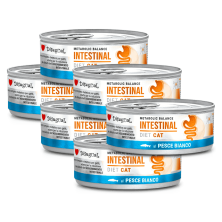 Disugual Diet Cat Húmedo Pescado Blanco Intestinal 85gr – Comida para Gatos con Sensibilidad Digestiva