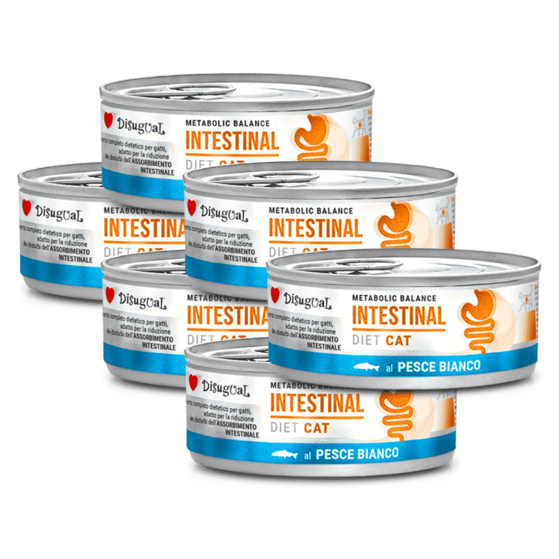 Disugual Diet Cat Húmedo Pescado Blanco Intestinal 85gr – Comida para Gatos con Sensibilidad Digestiva