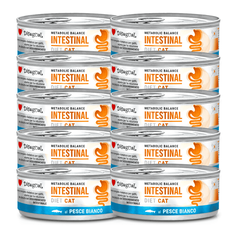 Disugual Diet Cat Húmedo Pescado Blanco Intestinal 85gr – Comida para Gatos con Sensibilidad Digestiva