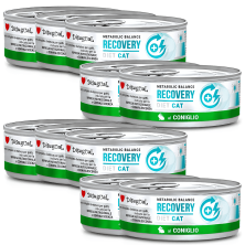 Comida Húmeda Gato Recuperación Disugual Diet Conejo 85 g | Supienso